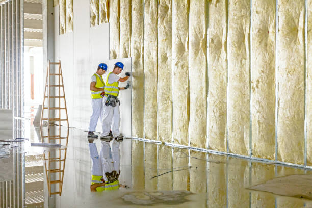 Best Insulation Maintenance and Repair in Easton, PA